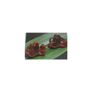 小鉢 醤油いいだこ800g(約100尾入り)×12P(P3,090円税別)業務用 ヤヨイ あずま