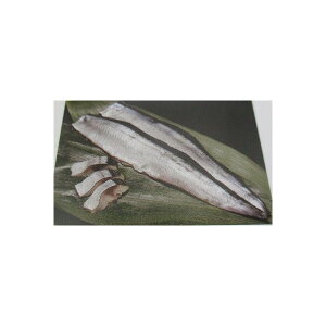 |@T}|Y500g×16PiP1,480~jH@Ɩp@C@