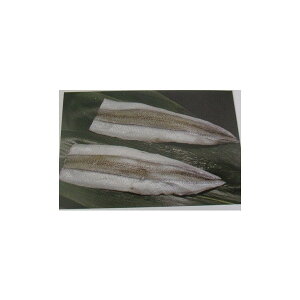 |@T|Y500g×16PiP1,410~ŕʁj@Ɩp@C@