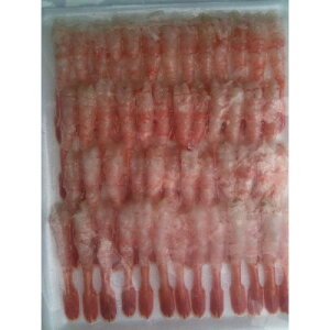 yȒP֗ztÊCVނiVFj50×20PiP800~ŕʁjƖp@C