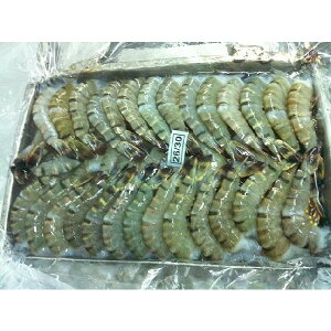 一級品 26-30ブラックタイガー無頭 1.8kg(約110匹)×6枚(枚3840円税別)業務用 ヤヨイ