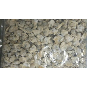 {CL1kgi500-800jx10PiP1800~ŕʁj~j@Ɩp@͂܂@n}O