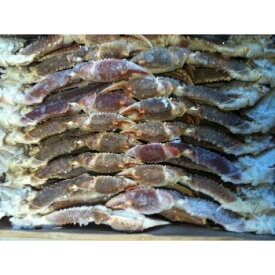 身入抜群　冷凍生ずわい蟹　5L（肩）5kg（kg4,800円税別）（約11肩）　特大　ヤヨイ 業務用