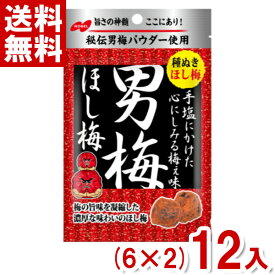 ノーベル 20g 男梅ほし梅 (6×2)12袋入 (最短当日出荷)(最強配送)(熱中症対策 塩分補給 うめ)(ポイント消化) (np) (賞味期限2026.9月末) (メール便全国送料無料)