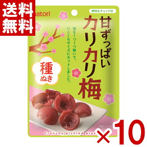 ȂƂ Âς JJ~ ʂ 22g×10 (|Cg) (ܖ2026.4.8) (np) ([֑S)