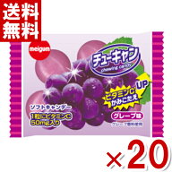 明治チューインガム チューキャン グレープ 13g×20入 (最短当日出荷)(最強配送)(1000円ポッキリ ポイン…