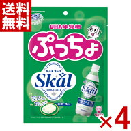 味覚糖 ぷっちょ 袋 Skal 67g×4袋入 (最短当日出荷)(最強配送) (ポイント消化) (np) (賞味期限2027.2月…