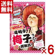 リボン 道明寺梅子の恋の挑戦状 54g×6袋 (梅 飴 お菓子) (ポイント消化) (np-3) (メール便全国送料無料)