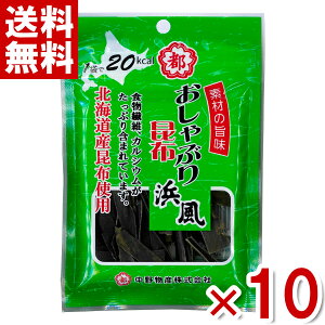 앨Y Ԃ荩zl 9g×10 (܂ ) (|Cg) (np)(ܖ2026.2) ([֑S)