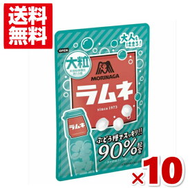 森永製菓 大粒ラムネ 41g×10入 (ポイント消化) (np) (駄菓子 ブドウ糖 90％配合) (賞味期限2025.2月末) (メール便全国送料無料)