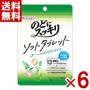 春日井 のどにスッキリ ソフトタブレット マイルドハーブ味 20g×6入 (ポイント消化) (賞味期限2026.8月末) (np) (メール便全国送料無料)