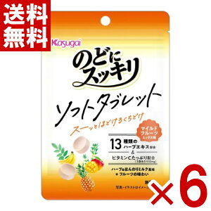 春日井 のどにスッキリ ソフトタブレット マイルドフルーツミックス味 20g×6入 (ポイント消化) (賞味期限2026.7月末) (np) (メール便全国送料無料)