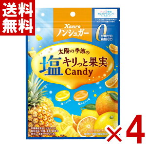 J mVK[LƉʎLfB 70g×4ܓ (|Cg) (np)(ܖ2026.6) ([֑S)