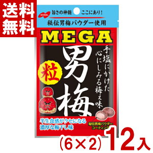 m[x 36g MEGAj~  (6×2)12ܓ (܃^Cv Kj~) (|Cg) (np) (ܖ2026.7) ([֑S)