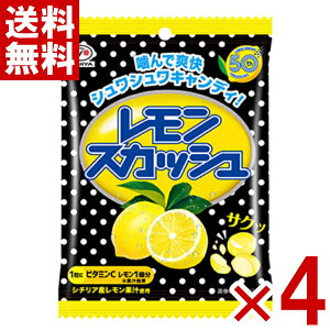 s XJbVLfB  51g×4 (|Cg) (np-3) (ܖ2026.4) ([֑S)