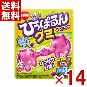 `[CK ЂςO~ ǂԂ 23g×14 (np) (ܖ2026.2) ([֑S)