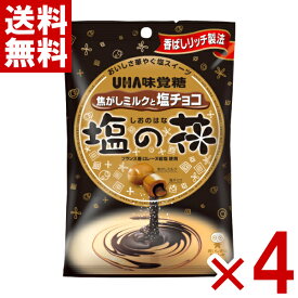 味覚糖 塩の花 焦がしミルクと塩チョコ 71g×4袋セット (ポイント消化) (np-3) (賞味期限2026.8月末) (メール便全国送料無料)