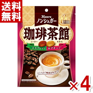 J mVK[蒃 72g×4 (|Cg) (np-3) (ܖ2027.8) ([֑S)