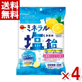 ブルボン ミネラル塩飴 94g×4袋セット (熱中症対策) (ポイント消化) (np)(賞味期限2025.1月末) (メール便全国送料無料)