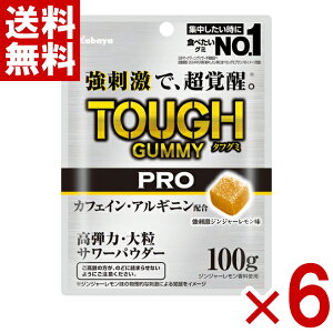 (ŒZܖ2025.12) Jo ^tO~ PRO JtFC WW[ 100g×6 (ŒZo)(ŋz) (AEgbg 󂠂 َq ؂i Z[) (np-3) ([֑S)