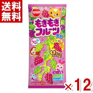 `[CK t[cO~ 21g×12 (np)(ܖ2026.1) ([֑S)