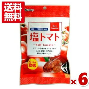 アイファクトリー 塩トマト 65g×6入 (ポイント消化) (賞味期限2023.12.20) (メール便全国送料無料)