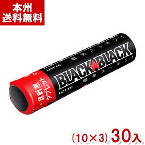 ���b�e 32g �u���b�N�u���b�N�^�u���b�g �X�g�����O�^�C�v (10×3)30�� (Y60) (�ڊo�܂� ���C�h�~) (�{�B��������)