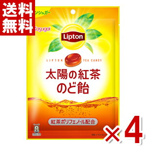 t vg z̍ĝǈ 70g×4 (|Cg) (np)(ܖ2027.7) ([֑S)