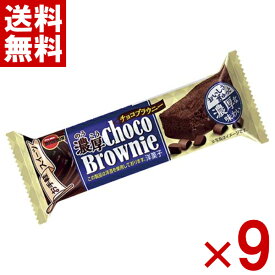 ブルボン 濃厚チョコブラウニー 9本入 (ポイント消化) (np) (メール便全国送料無料)