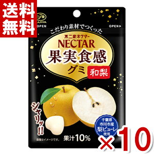 s lN^[ʎHO~ a 48g×10 (|Cg) (np-3) (ܖ2026.1) ([֑S)