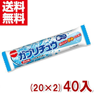 `[CK Ku`E l (20×2)40 (ʉَq \tgLfB)(|Cg) (np-3)(ܖ2026.6) ([֑S)