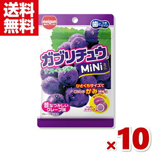 `[CK Ku`Emini O[v 28g×10 (|Cg) (np-2)(ܖ2026.8) ([֑S)