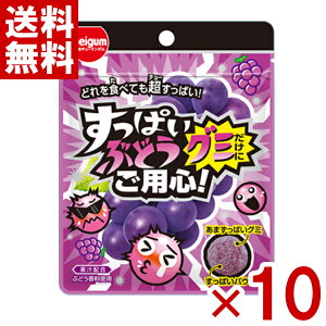 `[CK ςԂǂO~ɂpS 28g×10 (np) (ܖ2026.4) ([֑S)