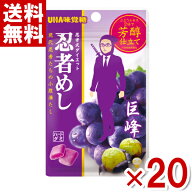 味覚糖 20g 忍者めし 巨峰味 (10×2)20入 (最短当日出荷)(最強配送)(ポイント消化) (np-3) (賞味期限2027…