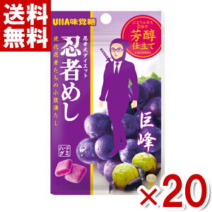 味覚糖 20g 忍者めし 巨峰味 (10×2)20入 (最短当日出荷)(最強配送)(ポイント消化) (np-3) (賞味期限2026.8月末) (メール便全国送料無料)