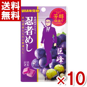 味覚糖 忍者めし 巨峰味 20g×10入 (最短当日出荷)(最強配送)(グミ) (ポイント消化) (np-2) (賞味期限2026.8月末) (メール便全国送料無料)