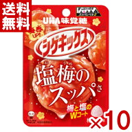 味覚糖 シゲキックス 梅ソルト 20g×10入 (最短当日出荷)(最強配送) (ポイント消化) (np) (賞味期限2027.…
