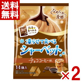 エースベーカリー 凍らせて食べるシャーベット チョココーヒー味 280g×2袋セット (最短当日出荷)(最強配送) (ポイント消化) (np-3) (賞味期限2027.6.12) (レ) (メール便全国送料無料)*