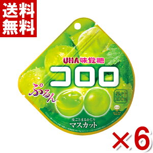 o R }XJbg O~ 48g×6 (|Cg) (np-2) (ܖ2026.5) ([֑S)