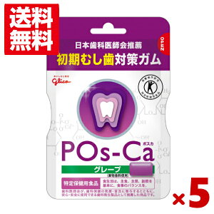 OR |XJ O[v GRpE` 75g×5 (یpHi gNz)(|Cg)(np-3) (ܖ2026.9) ([֑S)