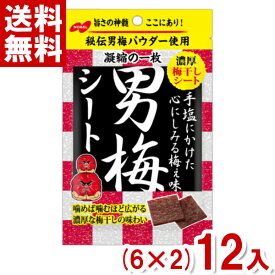 ノーベル 男梅シート (6×2)12袋入 (最短当日出荷) (最強配送)(熱中症対策 塩分補給 うめ)(ポイント消化) (np-3) (賞味期限2026.5月末) (メール便全国送料無料)