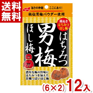 m[x ݂͂j~ق~ (6×2)12ܓ (MǑ΍ ⋋ )(|Cg) (np-3) (ܖ2026.6) ([֑S)