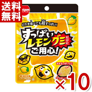 (ܖ2025.12) `[CK ςO~ɂpS 28g×10 (ŒZo)(ŋz) (AEgbg 󂠂 َq ؂i Z[) (np) ([֑S)*