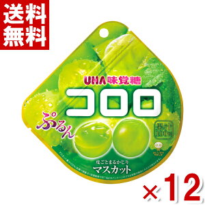 ���o�� 48g �R���� �}�X�J�b�g �O�~ (6×2)12�� (�|�C���g����) (np-3) (�ܖ�����2026.5����) (���[���֑S����������)