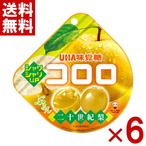 o R \I 40g×6 (Ԍ O~ َq) (|Cg) (np) (ܖ2026.6) ([֑S)