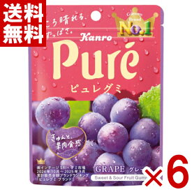 カンロ ピュレグミ グレープ 56g×6入 (ポイント消化) (np-2) (賞味期限2026.11月末) (メール便全国送料無料)