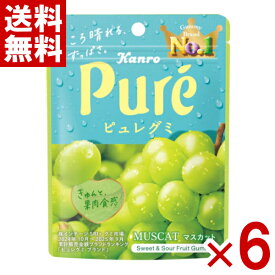 カンロ ピュレグミ マスカット 56g×6入 (ポイント消化) (np-2) (賞味期限2027.2月末) (メール便全国送料無料)