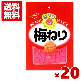 ノーベル 20g ねりり 梅ねり (10×2)20入 (ポイント消化) (np-2)(賞味期限2025.2月末) (メール便全国送料無料)