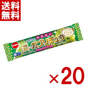 `[CK ZKu`E }XJbgXp[N 20 (ʉَq \tgLfB) (|Cg) (np) (ܖ2026.9) ([֑S)