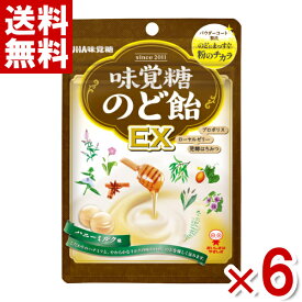 味覚糖 味覚糖のど飴EX 90g×6入 (ポイント消化) (np-2) (賞味期限2025.3月末) (メール便全国送料無料)
